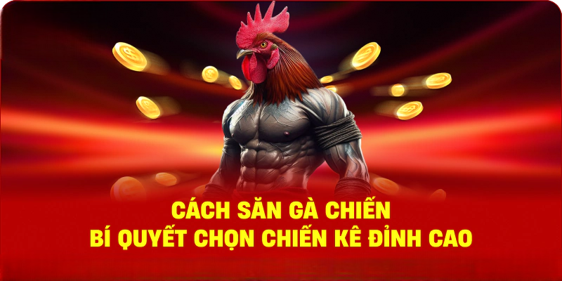 Đá Gà WIN68 – Trải Nghiệm Đam Mê Bất Tận Có Một Không Hai